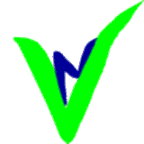 The NetValley Logo